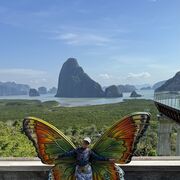 ���������� �������, ���� ������� ����������, 48 ���, ������������ ��� c�������� ���������