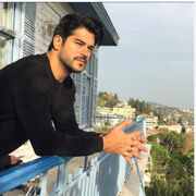 ���������� ���������, ���� ������� ����, 41 ���, ������������ ��� ������, ����� � ���������