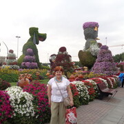  ,   , 67 ,   ,   