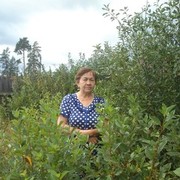 ���������� ������, ���� ������� �����, 66 ���, ������������ ��� ������, ����� � ���������, c�������� ���������