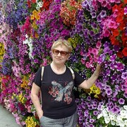 ���������� ������, ���� ������� �������, 63 ����, ������������ ��� ������, ����� � ���������, c�������� ���������, ���������