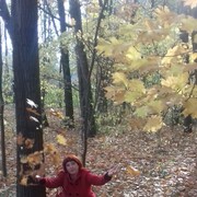  ,   Alusik, 48 ,  