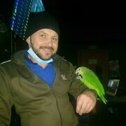 ���������� ���������������, ���� ������� �����, 44 ����, ������������ ��� ������, ����� � ���������, c�������� ���������