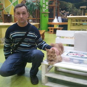 ���������� ������, ���� ������� �������, 50 ���, ������������ ��� ����� � ���������, c�������� ���������