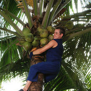  ,   Denis, 37 ,   