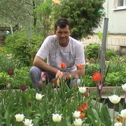  ,   , 55 ,   ,   , c 