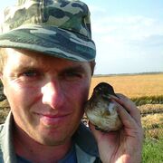 ���������� ���������, ���� ������� �����, 42 ����, ������������ ��� ����� � ���������, c�������� ���������