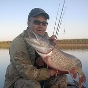  ,   , 50 ,   ,   , 