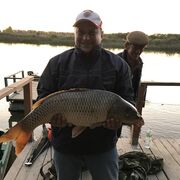 ���������� ������, ���� ������� ����, 42 ����, ������������ ��� ������, ����� � ���������, c�������� ���������