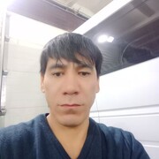  -,   , 41 ,   ,   