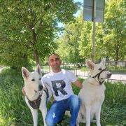 ���������� ������, ���� ������� Anar, 43 ����, ������������ ��� ������, ����� � ���������