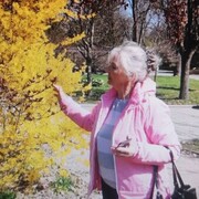 ���������� �������, ���� ������� ����, 69 ���, ������������ ��� c�������� ���������, ���������