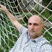  ,   Konstantine, 50 ,   ,   