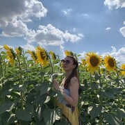 ���������� ������, ���� ������� �����, 29 ���, ������������ ��� ����� � ���������, c�������� ���������