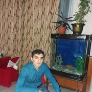 ���������� �����, ���� ������� ��� �������, 36 ���, ������������ ��� ������, ����� � ���������, c�������� ���������