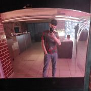 ���������� �����, ���� ����� �������, 22 ����, ������������ 