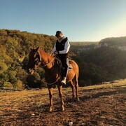 ���������� �����������, ���� ������� ������, 28 ���, ������������ ��� ������, ����� � ���������, ���������