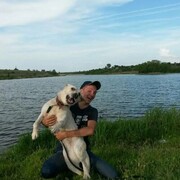  --,   Alexander, 31 ,     , c , 