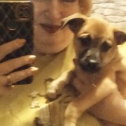 ���������� �����, ���� ������� ����, 56 ���, ������������ ��� c�������� ���������