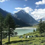 ���������� �����, ���� ������� Andrei, 42 ����, ������������ ��� ������, ����� � ���������, c�������� ���������