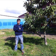  ,   Alam, 37 ,  