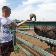 ���������� �������, ���� ������� �����, 44 ����, ������������ 