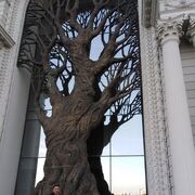 ���������� ������������, ���� ������� ����, 50 ���, ������������ ��� ������, ����� � ���������