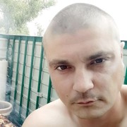  ,   , 43 ,  
