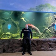 ���������� ������, ���� ������� ������, 36 ���, ������������ ��� ������, ����� � ���������, c�������� ���������, ���������