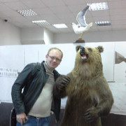 ���������� ����, ���� ������� �����, 41 ���, ������������ ��� ������