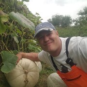 ���������� �������, ���� ������� ���������, 95 ���, ������������ ��� ����� � ���������, c�������� ���������, ���������