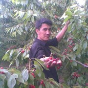  ,  snayper, 41