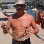  ,   , 56 ,   , 