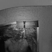 ���������� �����-�����, ������ �����, 24