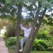 ,   , 40 ,   
