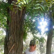  ,   , 62 ,     , c 