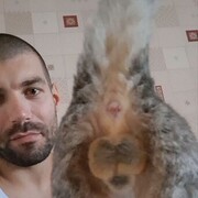 ���������� ������, ���� ������� ������, 31 ���, ������������ ��� ������, ����� � ���������, c�������� ���������, ���������