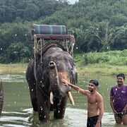 ���������� ������, ���� ������� �����, 35 ���, ������������ ��� ������, ����� � ���������