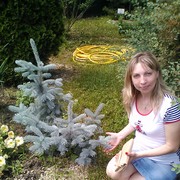 ���������� �������, ���� ������� ���, 46 ���, ������������ ��� ����� � ���������, c�������� ���������