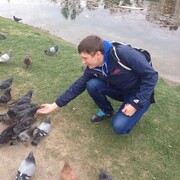 ���������� �����������, ���� ������� ���������, 33 ����, ������������ ��� ����� � ���������, c�������� ���������