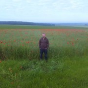 ���������� �����, ���� ������� MIHA, 42 ����, ������������ ��� ������, ����� � ���������, c�������� ���������