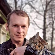 ���������� ��������, ���� ������� �������, 49 ���, ������������ ��� ������, ����� � ���������, c�������� ���������, ���������