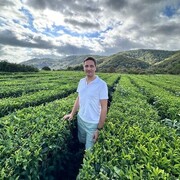 ���������� ����, ���� ������� �����, 45 ���, ������������ ��� c�������� ���������