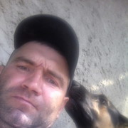  -,   , 46 ,   ,   , c 