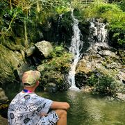 ���������� �����, ���� ����� �������, 21 ���, ������������ ��� ������, ����� � ���������