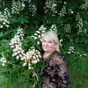  ,   , 53 ,     , c 