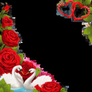  ,   , 50 ,   ,   , c 