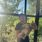 ���������� ������, ���� ������� ����, 33 ����, ������������ ��� ������, ����� � ���������