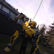 ���������� ������, ���� ������� ����, 45 ���, ������������ ��� c�������� ���������, ���������