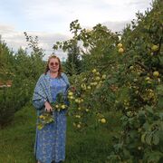 ���������� �����, ���� ������� �������, 54 ����, ������������ ��� ����� � ���������, c�������� ���������, ���������